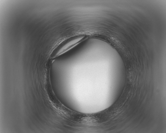 X0000058810544200510282132