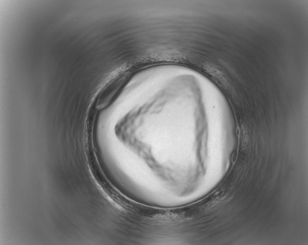 X0000058810630200510282131