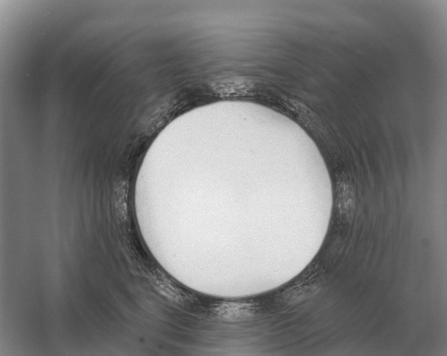 X0000058810664200510282131
