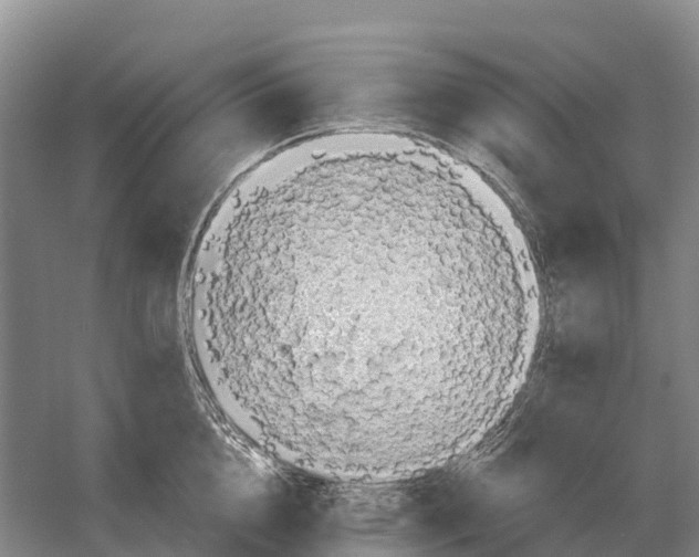 X0000058810856200510282128