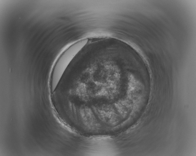 X0000058810864200510282128