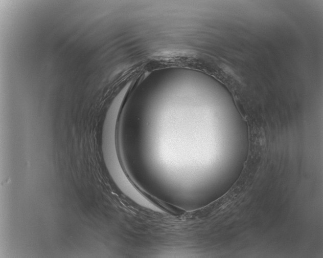 X0000058810965200510282125