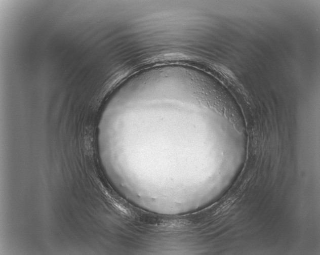 X0000058811225200510282121