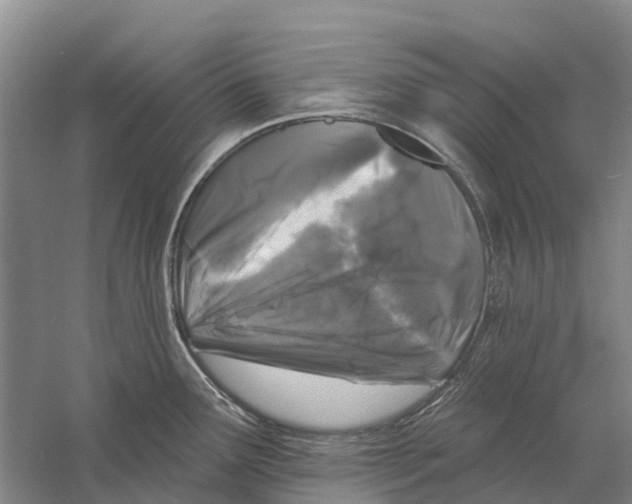 X0000058811291200510282120