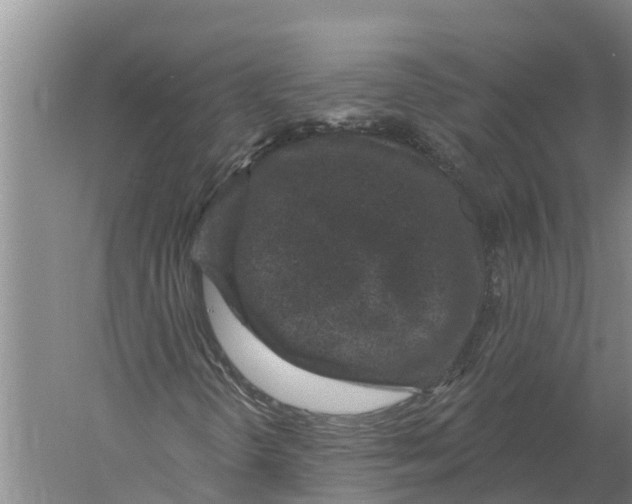 X0000058811298200510282119