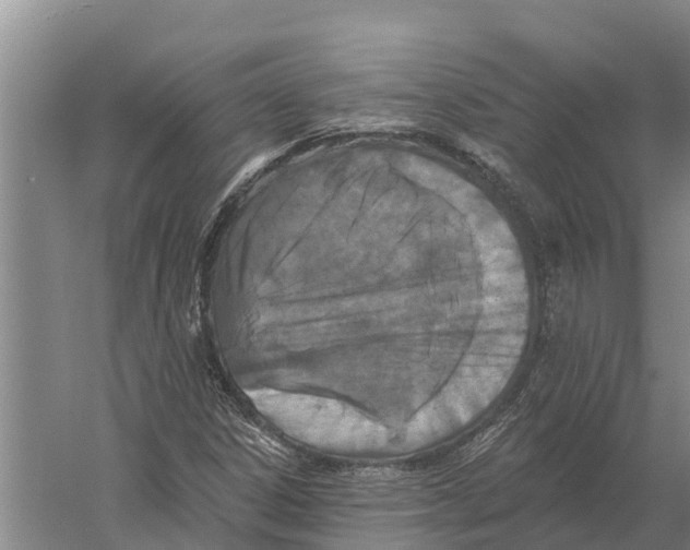 X0000058811306200510282119