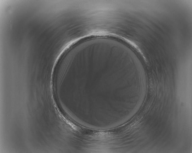 X0000058811327200510282120