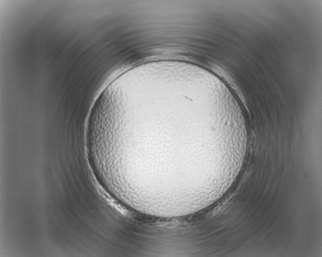 X0000058811386200510282118
