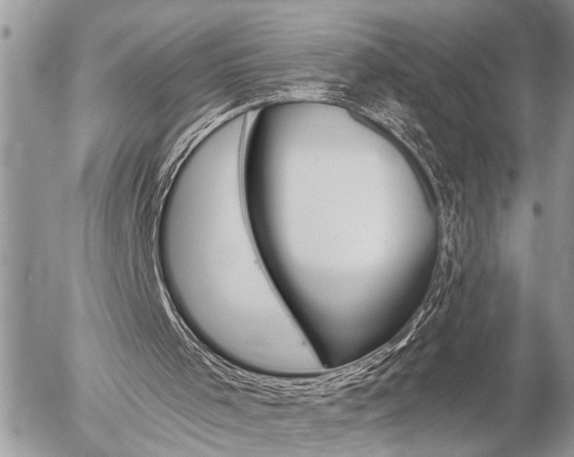 X0000058820001200509300927