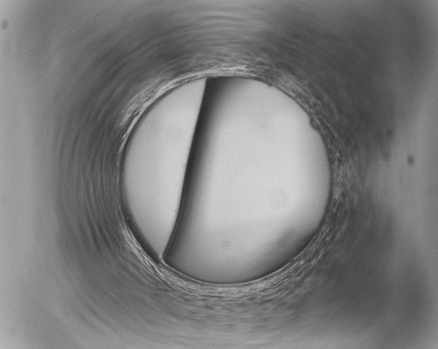 X0000058820002200509300927