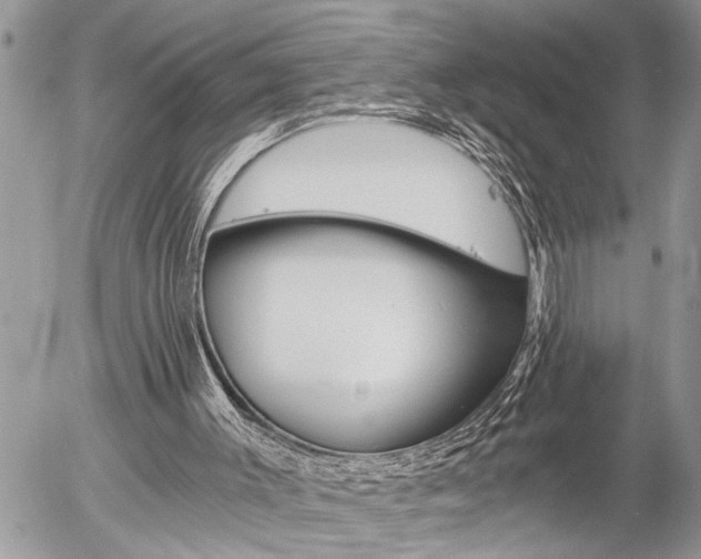 X0000058820003200509300927