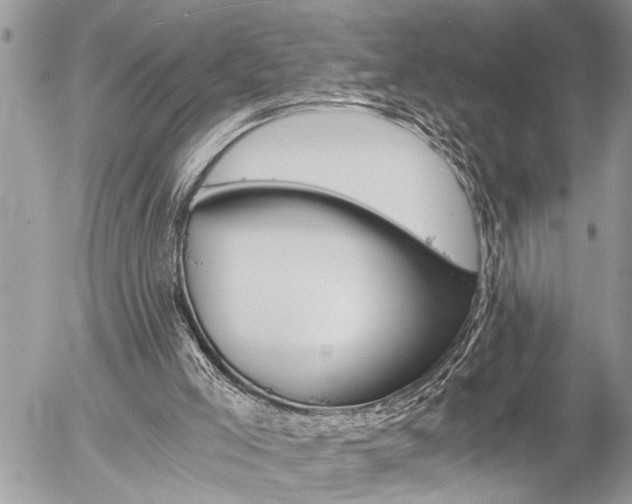 X0000058820005200509300927