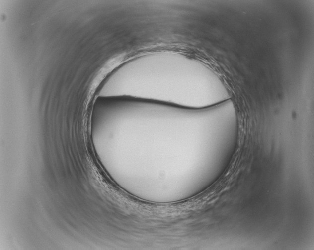 X0000058820006200509300927