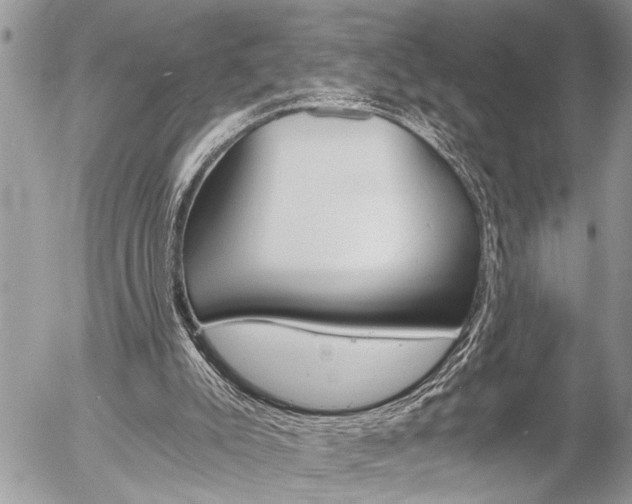 X0000058820007200509300927