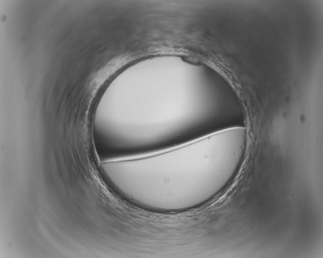 X0000058820008200509300927