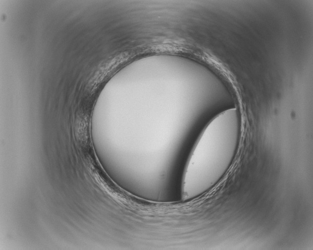 X0000058820009200509300927