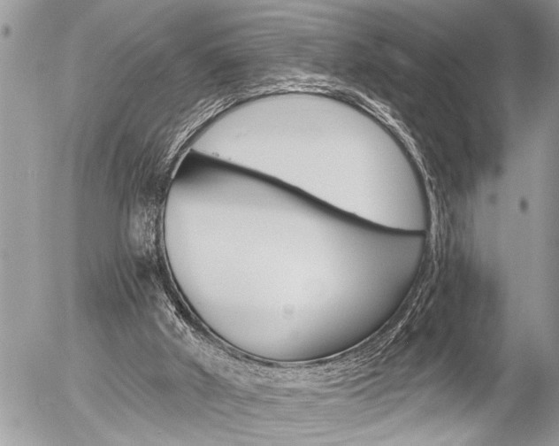 X0000058820010200509300927