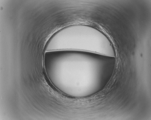 X0000058820011200509300927