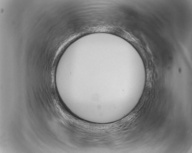 X0000058820012200509300927