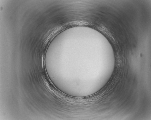 X0000058820014200509300927