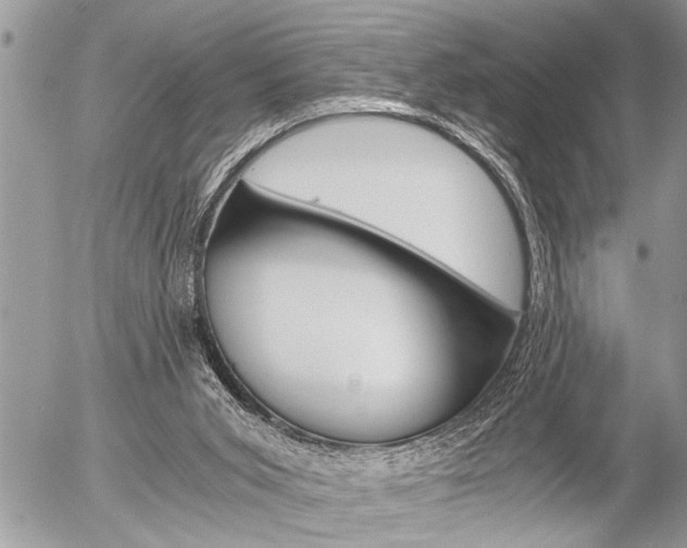 X0000058820015200509300927