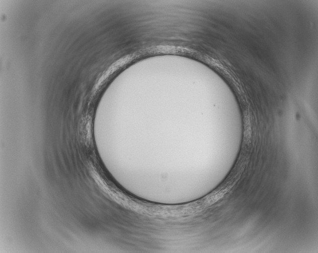 X0000058820016200509300927