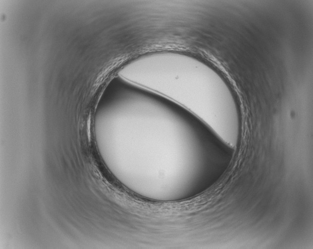 X0000058820019200509300927