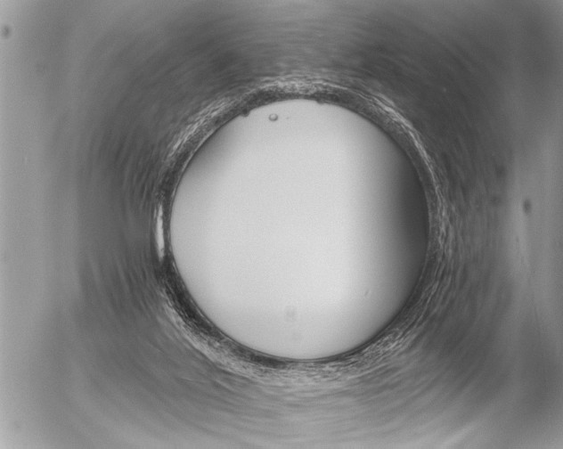 X0000058820020200509300927