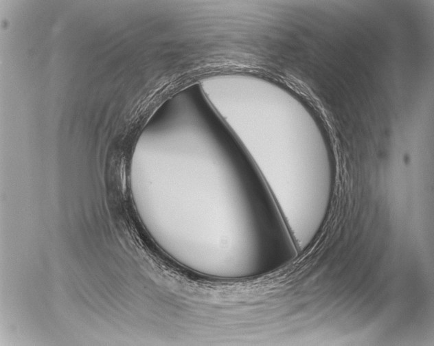 X0000058820021200509300927