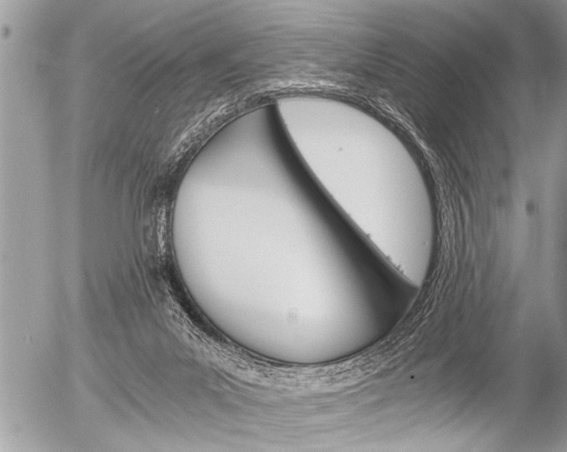 X0000058820023200509300927