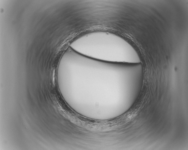 X0000058820024200509300927