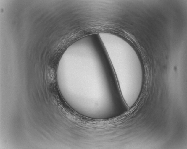 X0000058820025200509300927