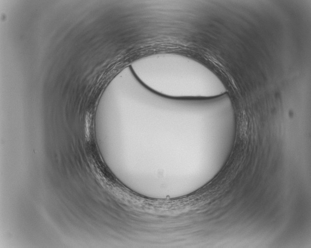 X0000058820026200509300927