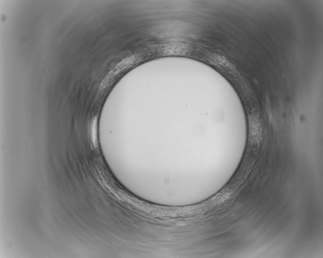 X0000058820028200509300927