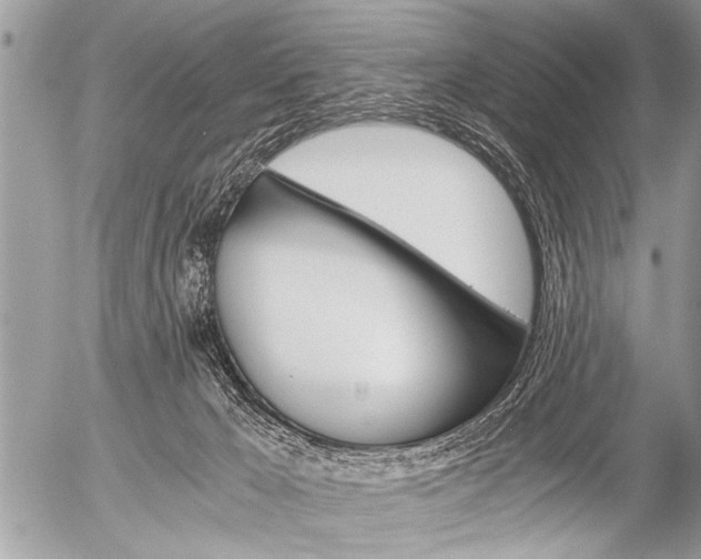 X0000058820029200509300927