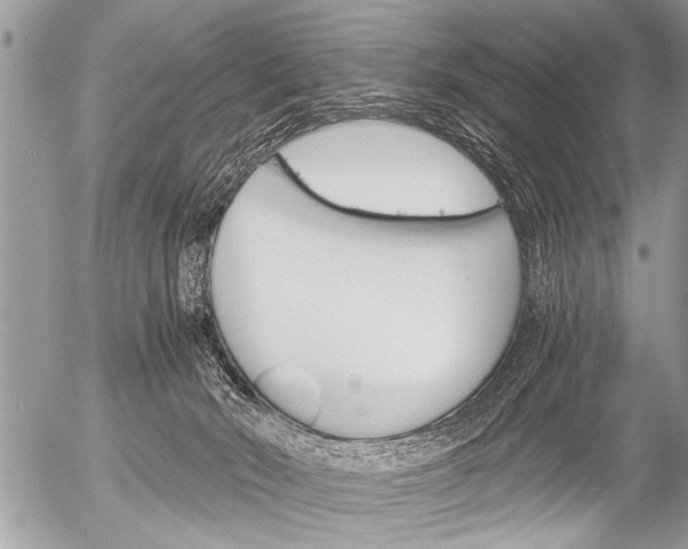 X0000058820030200509300927