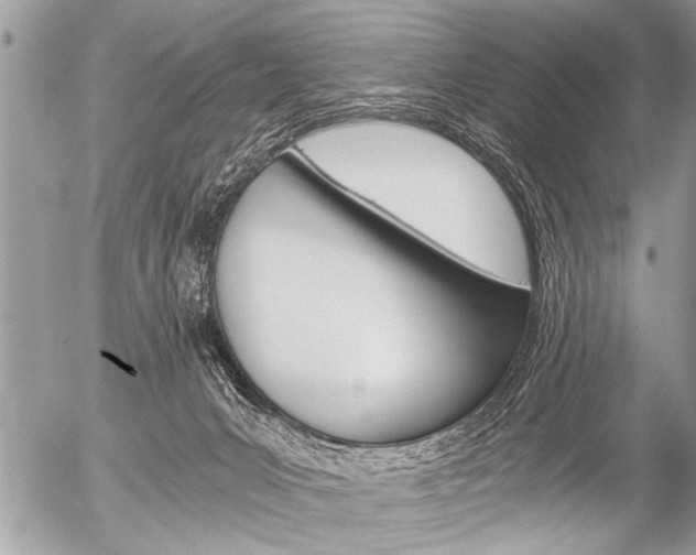 X0000058820031200509300927