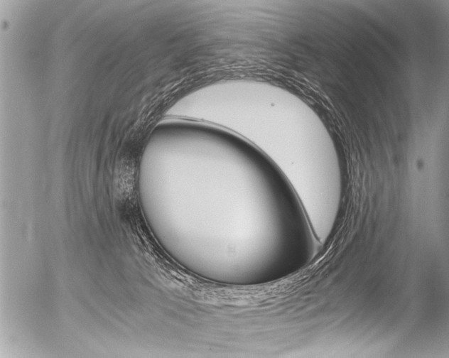 X0000058820033200509300927