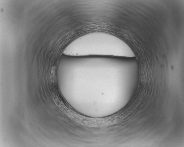 X0000058820034200509300927