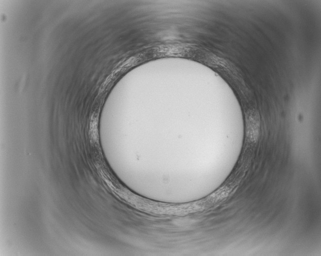 X0000058820036200509300927