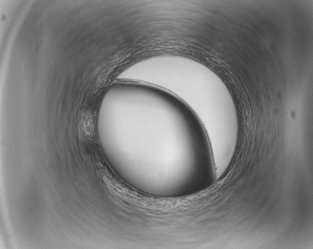 X0000058820037200509300927