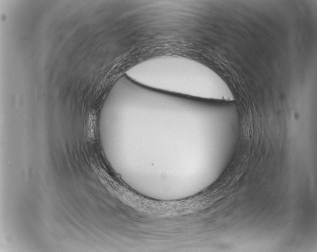 X0000058820038200509300927