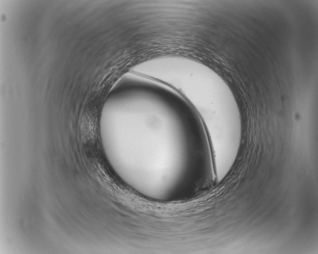 X0000058820039200509300927