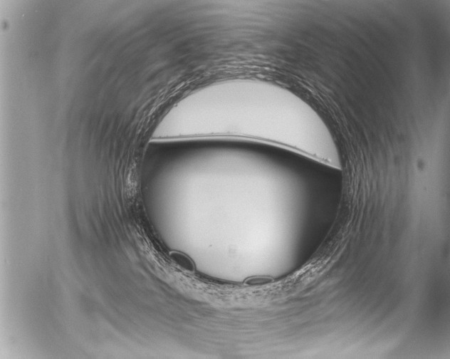 X0000058820040200509300927