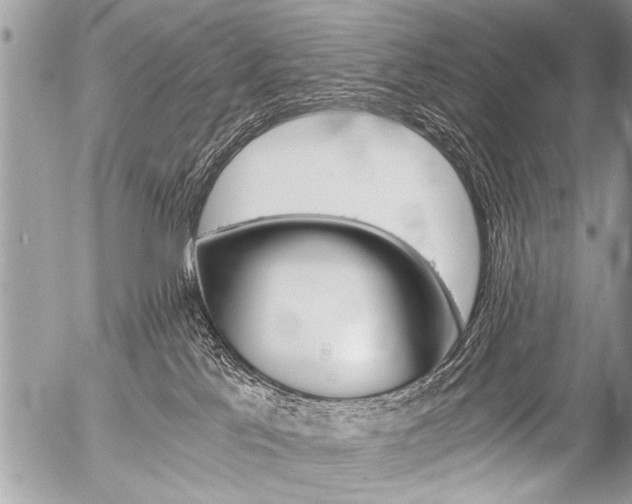 X0000058820041200509300927