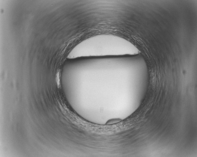 X0000058820042200509300927