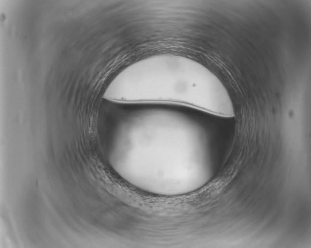 X0000058820044200509300927