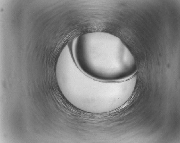 X0000058820045200509300926