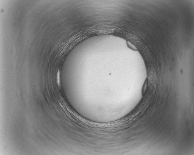 X0000058820046200509300926