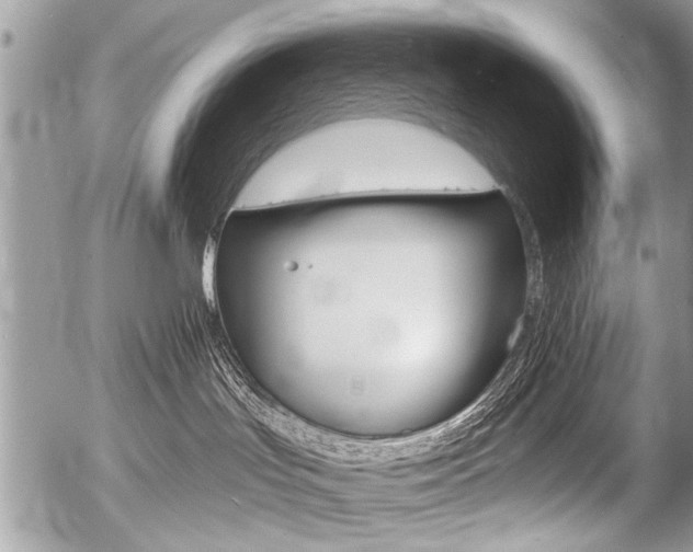 X0000058820047200509300926